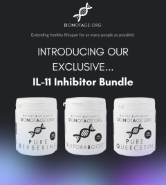 IL-11 Inhibitor Bundle